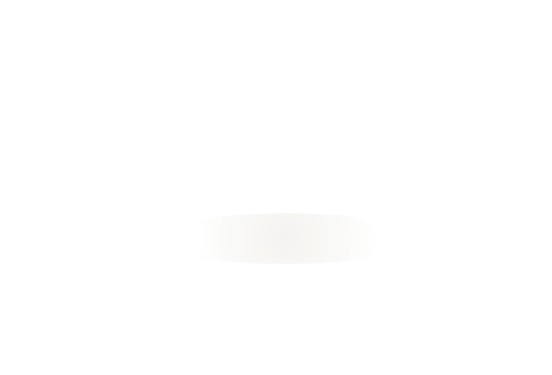 NoNoNames logo